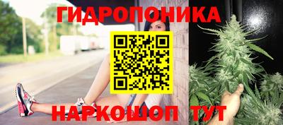 гашик Ярославль