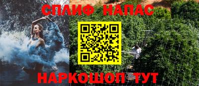 гашик Ярославль