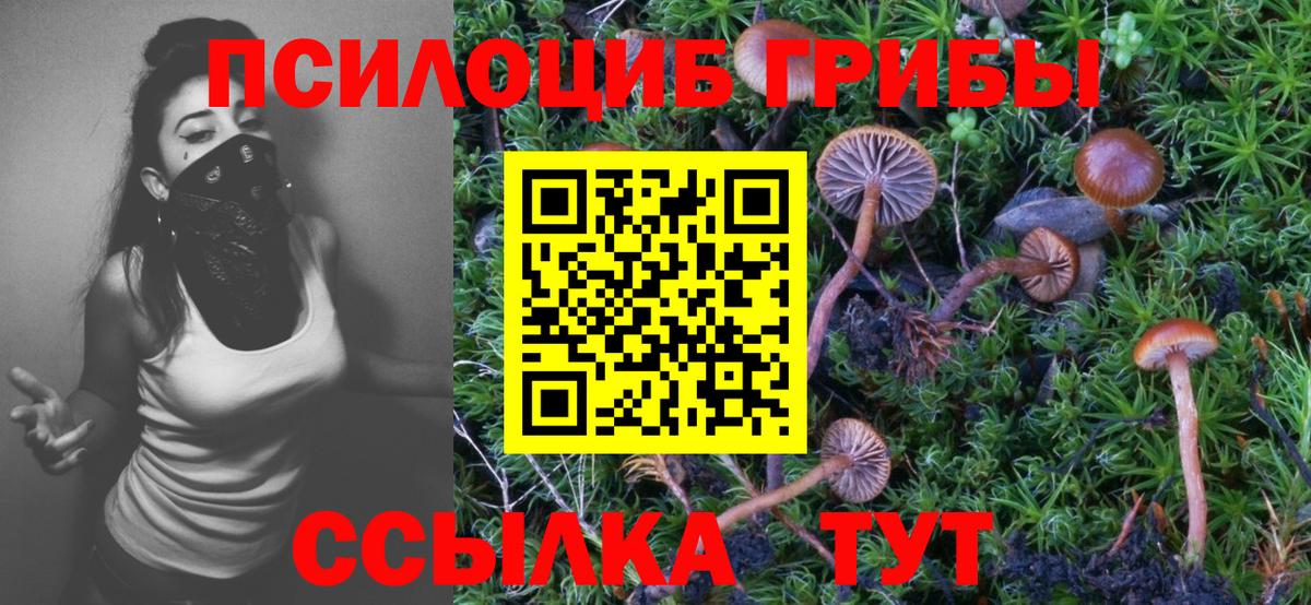 Галлюциногенные грибы GOLDEN TEACHER  Галлюциногенные грибы мухоморы  Вход с VPN  закладка  Рязань 